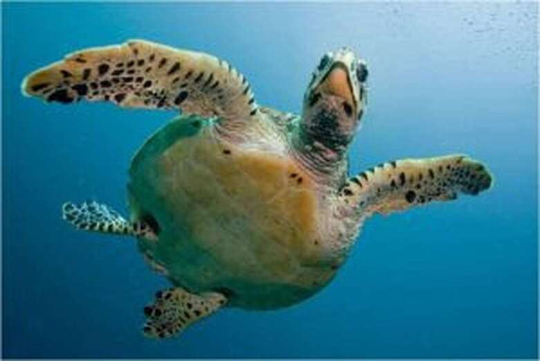 Siete estudiantes y cuatro docentes de la clase de 1Âº de la ESO F participaron en el concurso / TA